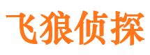 遂平飞狼私家侦探公司